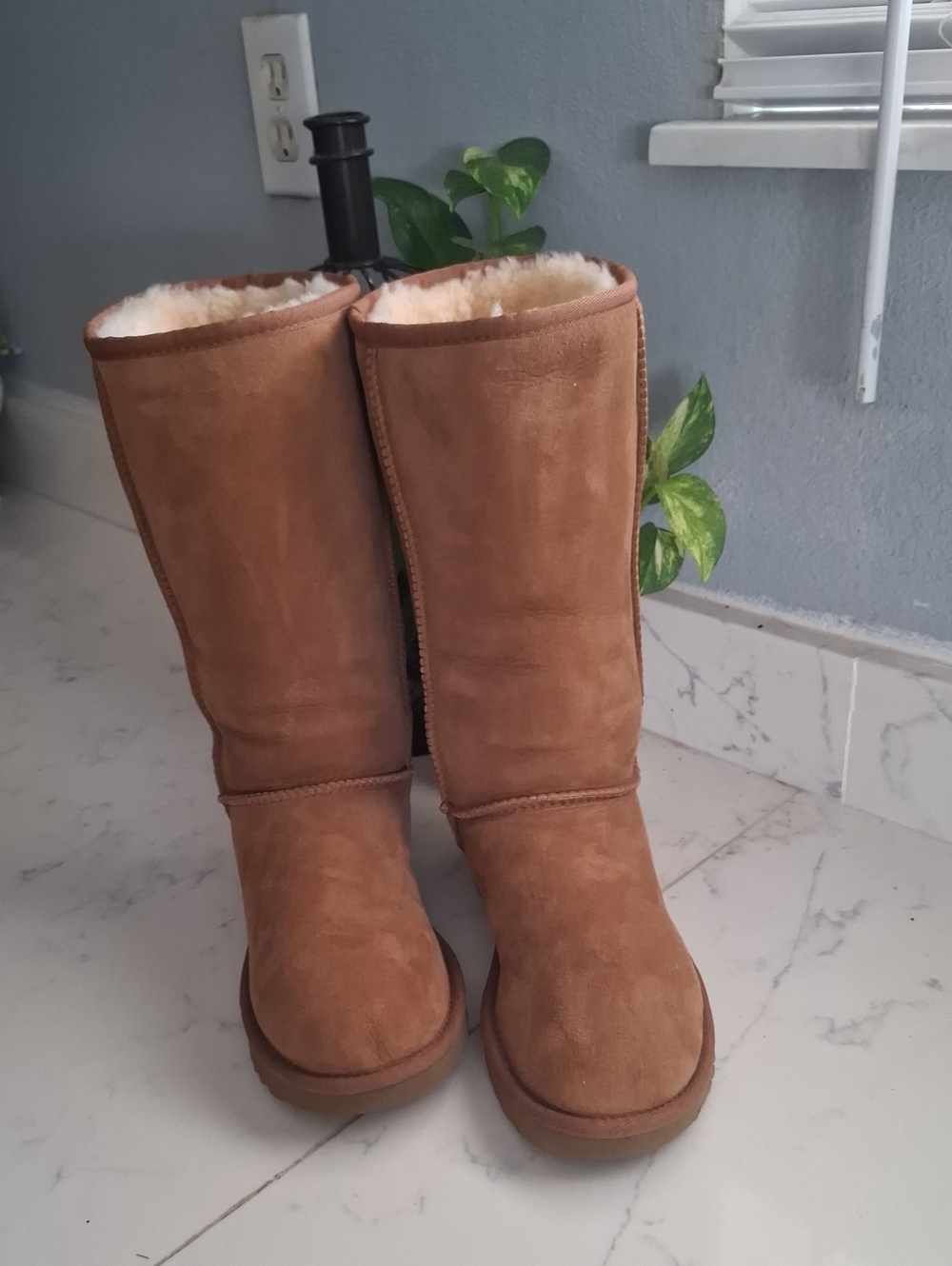 Ugg Classic Tall Chestnut Suede Mid-Calf Shearling Boots - Women
